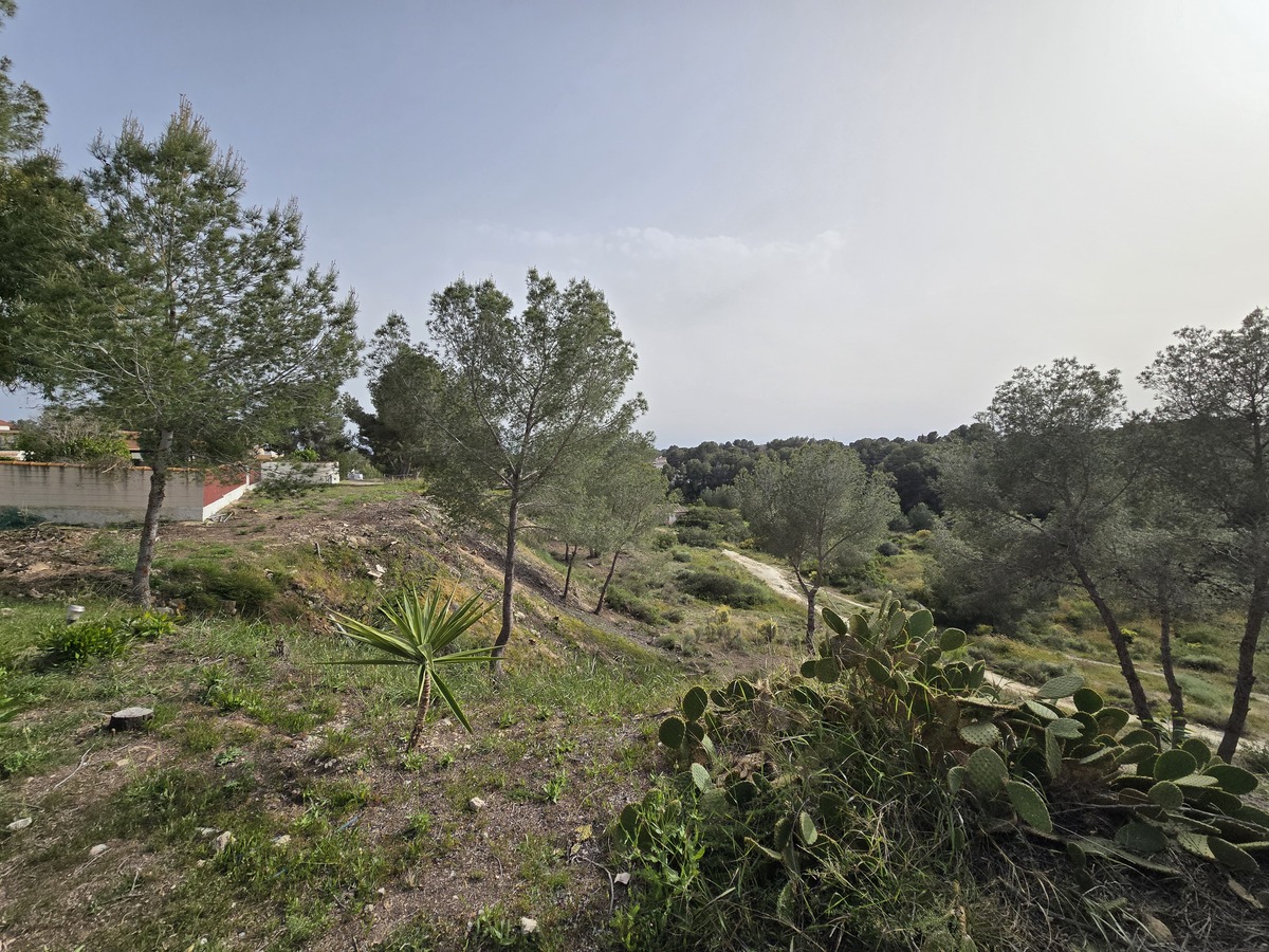 Villa independiente con 6.000m² de parcela en Pinar de Campoverde — vistas únicas