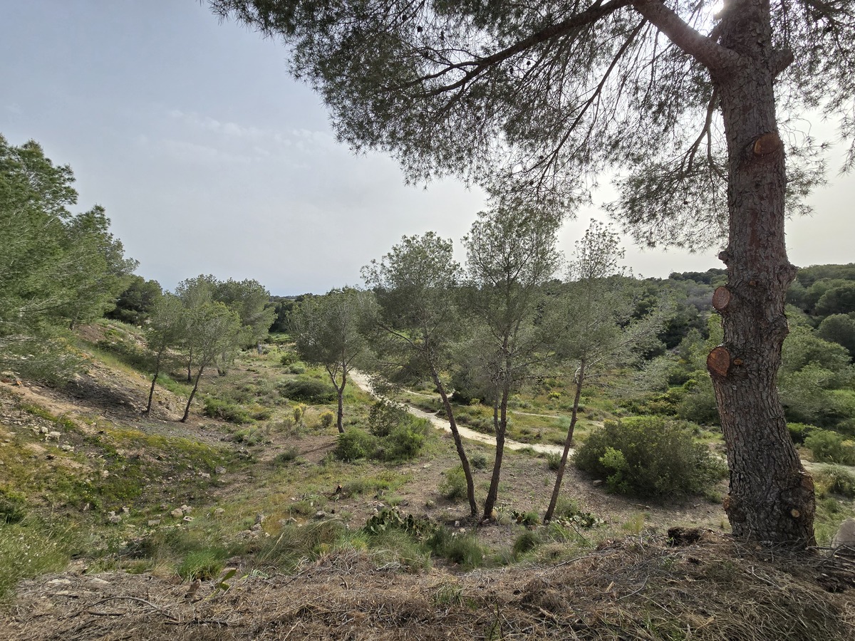 Villa independiente con 6.000m² de parcela en Pinar de Campoverde — vistas únicas