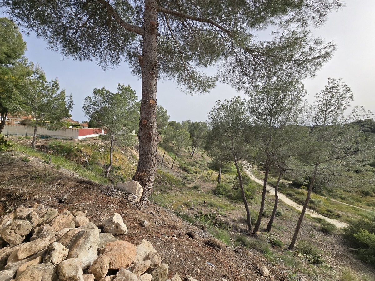 Villa independiente con 6.000m² de parcela en Pinar de Campoverde — vistas únicas
