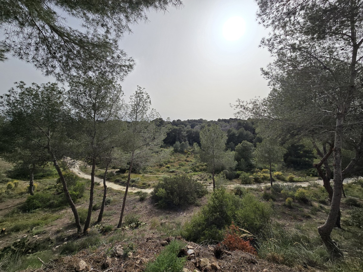 Villa independiente con 6.000m² de parcela en Pinar de Campoverde — vistas únicas