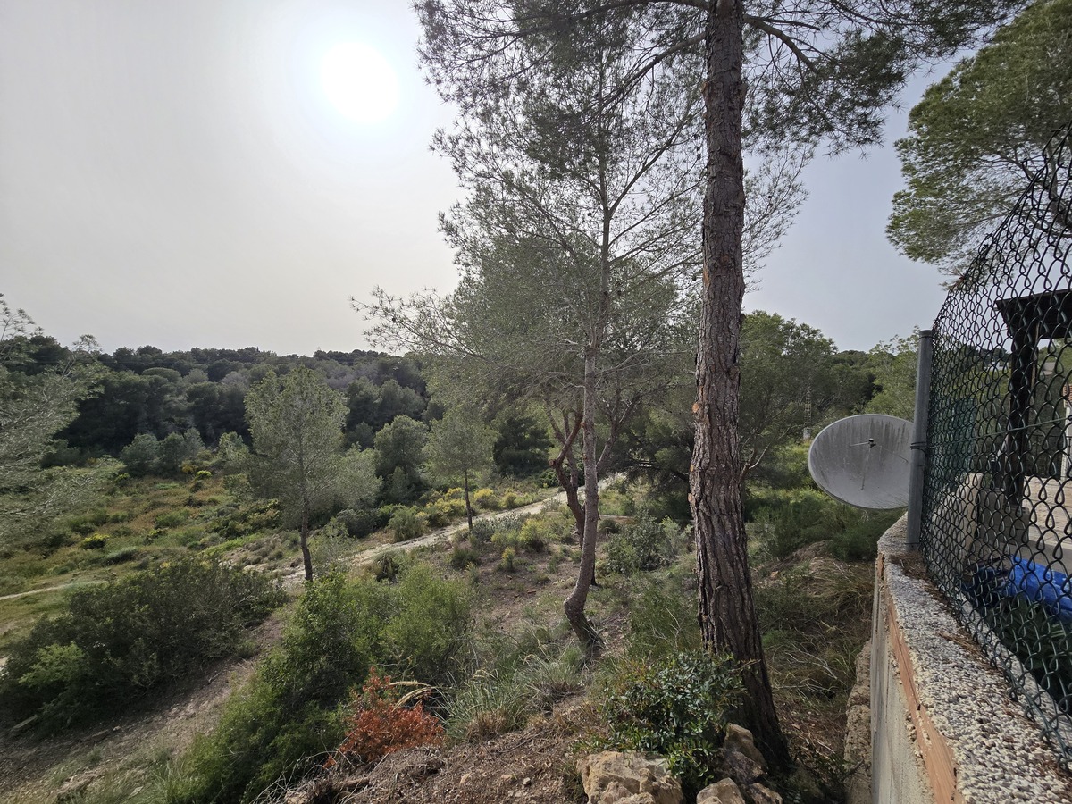Villa independiente con 6.000m² de parcela en Pinar de Campoverde — vistas únicas
